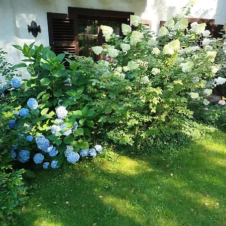 アパート I Lunaria *