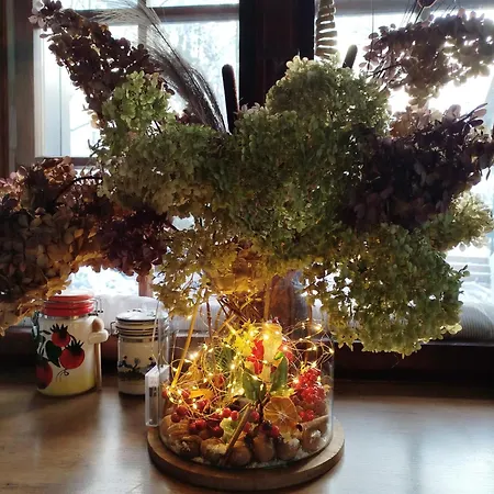 I Lunaria アパート カルパッチ